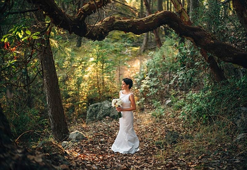 2015 Weddings in review - bride in forest