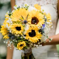 Lindsay & Chris Wedding - West Coast Wilderness Lodge, Egmont, BC