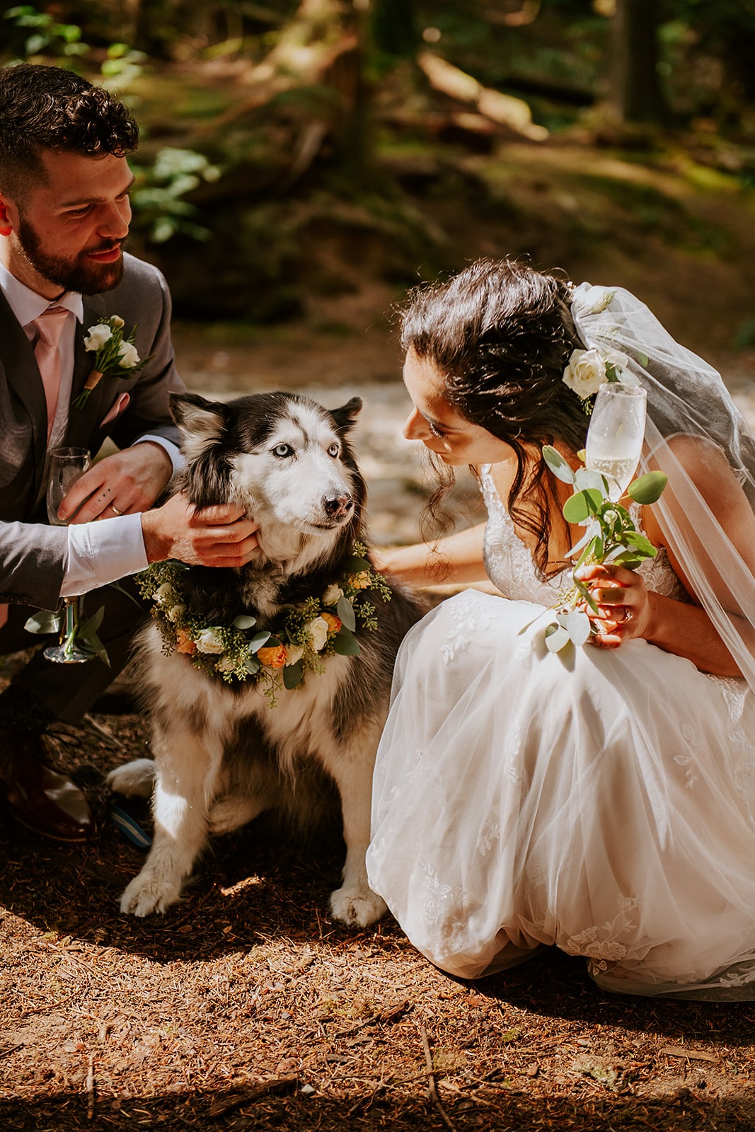 Wedding dog with bride and groom