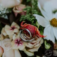 Rebecca and Brad - Elopement via boat to Private Island